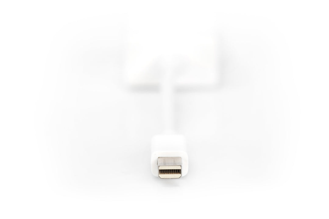 Digitus DisplayPort Adaptör Kablosu, Tip Mini DP Erkek HD15 Dişi, 0.15 Metre, Full HD, DP 1.1a, Beyaz Renk (DB-340407-001-W) 4