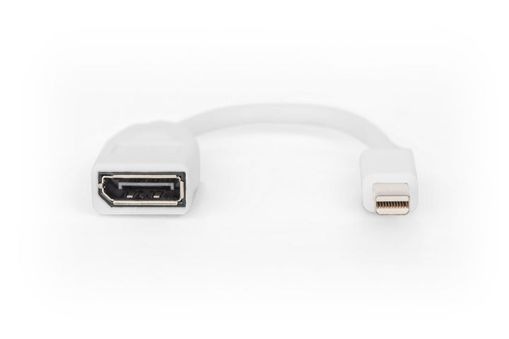 Digitus DisplayPort Adaptörü, Mini DP Erkek DP Dişi, 0.15 Metre , DP 1.2 Uyumlu (DB-340405-001-W) 2