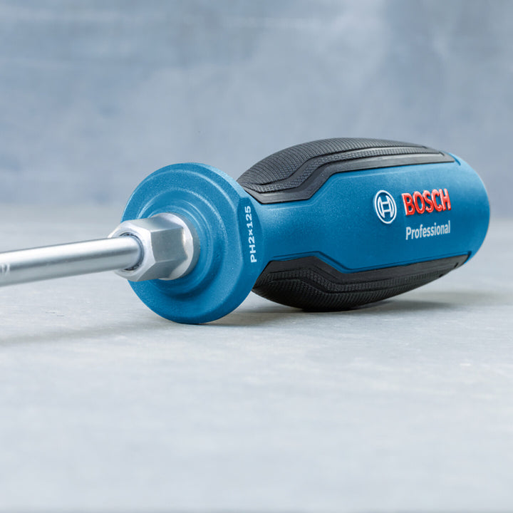 Bosch Profesyonel Tornavida Sl6.5x125mm 2