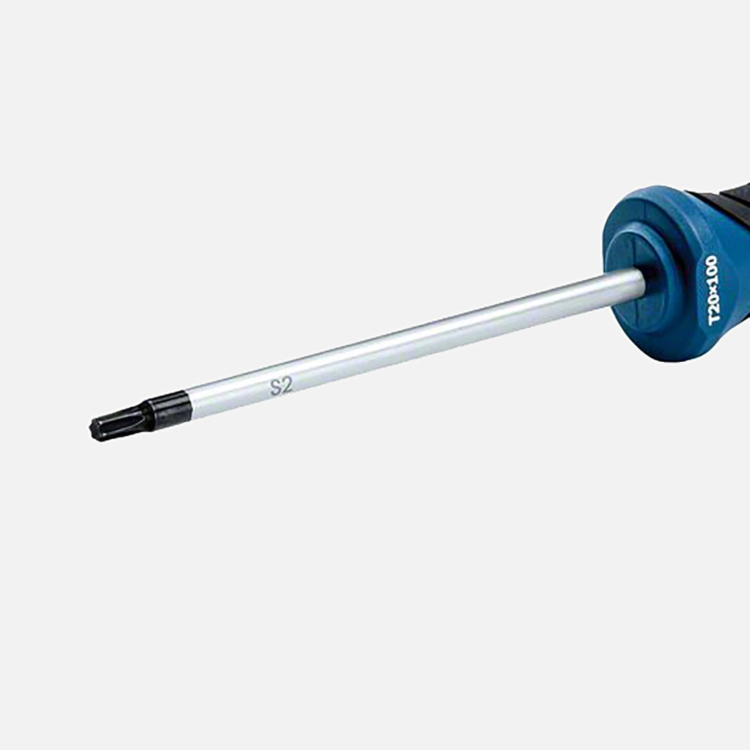 Bosch Profesyonel Torx Tornavida Tx20x100mm 4