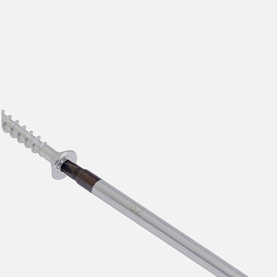 Bosch Profesyonel Torx Tornavida Tx20x100mm 5