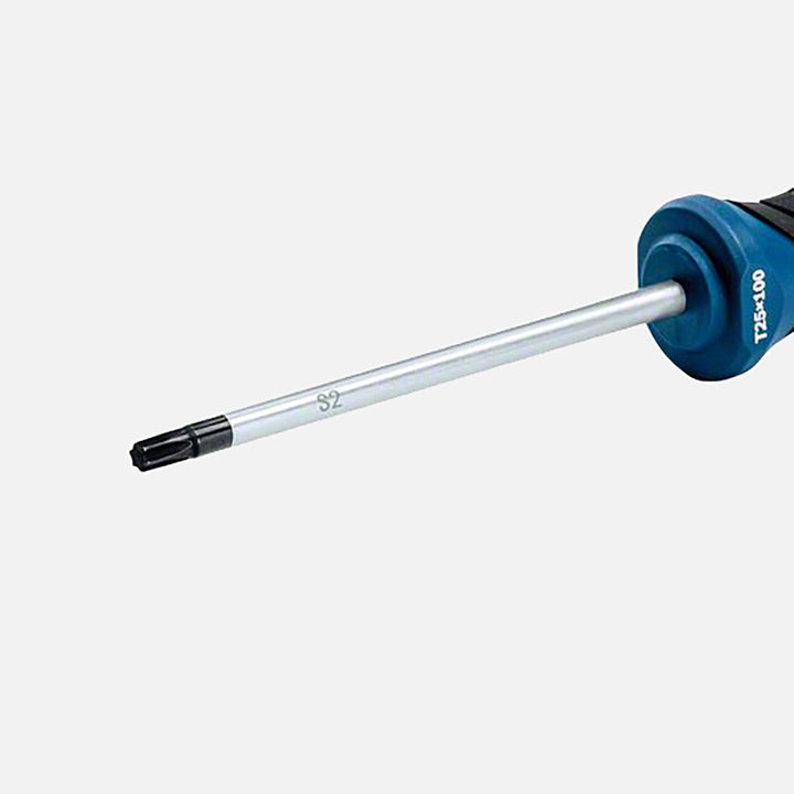 Bosch Profesyonel Torx Tornavida Tx25x100mm 4