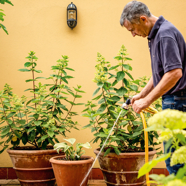 Bosch Gardenpump 18-2000 Akülü Solo Bahçe Sulama Pompası (Akü ve Şarj Cihazı Dahil Değildir) 8