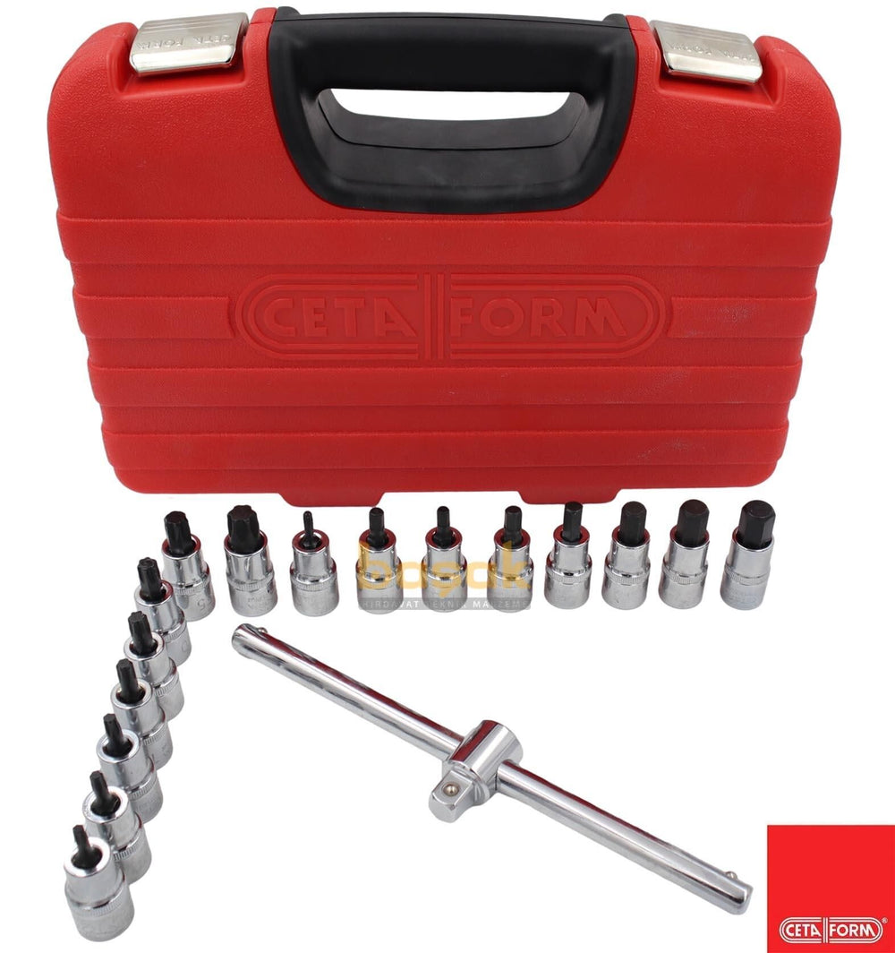 Ceta Form 17 Parça 1/2” TORX ve Lokmalı Allen Takımı C28S-17PTH 2